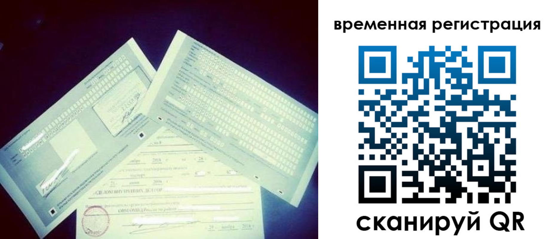 прописка для школы в Ельне